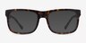 Ylem Tortoise AcetateEyeglass Frames from EyeBuyDirect, with Tinted Lenses