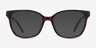 Miracle Red Tortoise  Black AcetateEyeglass Frames from EyeBuyDirect, with Tinted Lenses