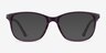 Paint Purple Tortoise PlasticEyeglass Frames from EyeBuyDirect, with Tinted Lenses