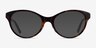 Dilly Tortoise AcetateEyeglass Frames from EyeBuyDirect, with Tinted Lenses