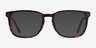 Radio Matte Tortoise AcetateEyeglass Frames from EyeBuyDirect, with Tinted Lenses