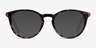 Amaze Tortoise Beige AcetateEyeglass Frames from EyeBuyDirect, with Tinted Lenses