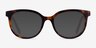 Popcorn Tortoise Pink AcetateEyeglass Frames from EyeBuyDirect, with Tinted Lenses