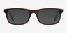 Scuba Brown Blue AcetateEyeglass Frames from EyeBuyDirect, with Tinted Lenses