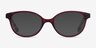 Grenadine Mulberry Tortoise AcetateEyeglass Frames from EyeBuyDirect, with Tinted Lenses