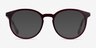 Saturn Mulberry Tortoise AcetateEyeglass Frames from EyeBuyDirect, with Tinted Lenses