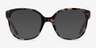 Osmanthus Floral AcetateEyeglass Frames from EyeBuyDirect, with Tinted Lenses
