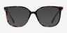 Latte Tortoise AcetateEyeglass Frames from EyeBuyDirect, with Tinted Lenses