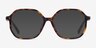 Crepuscule Tortoise AcetateEyeglass Frames from EyeBuyDirect, with Tinted Lenses