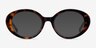 Bree Tortoise AcetateEyeglass Frames from EyeBuyDirect, with Tinted Lenses
