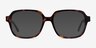 Kurt Tortoise AcetateEyeglass Frames from EyeBuyDirect, with Tinted Lenses