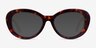 Dahlia Tortoise & Cream AcetateEyeglass Frames from EyeBuyDirect, with Tinted Lenses