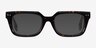 Kit Dark Tortoise AcetateEyeglass Frames from EyeBuyDirect, with Tinted Lenses