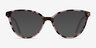 Wonder Ivory Tortoise Pink AcetateEyeglass Frames from EyeBuyDirect, with Tinted Lenses