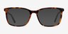 Meridian Tortoise AcetateEyeglass Frames from EyeBuyDirect, with Tinted Lenses