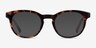 Hoop Tortoise Gold AcetateEyeglass Frames from EyeBuyDirect, with Tinted Lenses