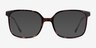 Orient Tortoise AcetateEyeglass Frames from EyeBuyDirect, with Tinted Lenses