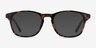 Casting Tortoise Gold AcetateEyeglass Frames from EyeBuyDirect, with Tinted Lenses