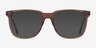 Latitude Clear Brown AcetateEyeglass Frames from EyeBuyDirect, with Tinted Lenses