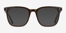 Boreal Clear Brown AcetateEyeglass Frames from EyeBuyDirect, with Tinted Lenses