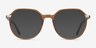Niagara Clear Brown AcetateEyeglass Frames from EyeBuyDirect, with Tinted Lenses