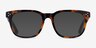 Adriatic Tortoise AcetateEyeglass Frames from EyeBuyDirect, with Tinted Lenses