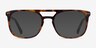 Eclipse Tortoise AcetateEyeglass Frames from EyeBuyDirect, with Tinted Lenses