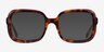 Provence Tortoise AcetateEyeglass Frames from EyeBuyDirect, with Tinted Lenses