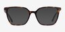 Nobel Tortoise AcetateEyeglass Frames from EyeBuyDirect, with Tinted Lenses