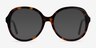 Florescence Tortoise AcetateEyeglass Frames from EyeBuyDirect, with Tinted Lenses