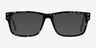 Brumalis Tortoise AcetateEyeglass Frames from EyeBuyDirect, with Tinted Lenses