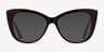 Jenna Dark Brown AcetateEyeglass Frames from EyeBuyDirect, with Tinted Lenses