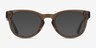Cezanne Clear Brown AcetateEyeglass Frames from EyeBuyDirect, with Tinted Lenses