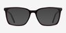 Panoply Dark Brown AcetateEyeglass Frames from EyeBuyDirect, with Tinted Lenses