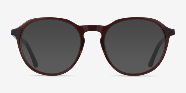 Halcyon Dark Brown AcetateEyeglass Frames from EyeBuyDirect, with Tinted Lenses