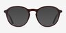 Halcyon Dark Brown AcetateEyeglass Frames from EyeBuyDirect, with Tinted Lenses