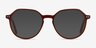 Ebullience Brown AcetateEyeglass Frames from EyeBuyDirect, with Tinted Lenses