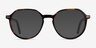 Ebullience Tortoise AcetateEyeglass Frames from EyeBuyDirect, with Tinted Lenses