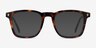 Murmur Tortoise AcetateEyeglass Frames from EyeBuyDirect, with Tinted Lenses