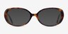 Surrey Tortoise AcetateEyeglass Frames from EyeBuyDirect, with Tinted Lenses