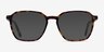 Ashby Tortoise AcetateEyeglass Frames from EyeBuyDirect, with Tinted Lenses