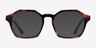 Famous Tortoise AcetateEyeglass Frames from EyeBuyDirect, with Tinted Lenses