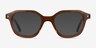 Knowledge Clear Brown Tortoise AcetateEyeglass Frames from EyeBuyDirect, with Tinted Lenses