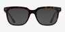 Ursus Tortoise AcetateEyeglass Frames from EyeBuyDirect, with Tinted Lenses