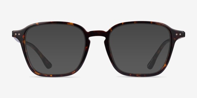 Whistler Tortoise PlasticEyeglass Frames from EyeBuyDirect, with Tinted Lenses