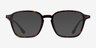 Whistler Tortoise PlasticEyeglass Frames from EyeBuyDirect, with Tinted Lenses