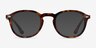 Cylinder Tortoise AcetateEyeglass Frames from EyeBuyDirect, with Tinted Lenses