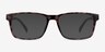 Beech Tortoise Eco-friendlyEyeglass Frames from EyeBuyDirect, with Tinted Lenses