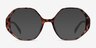 Cypress Tortoise PlasticEyeglass Frames from EyeBuyDirect, with Tinted Lenses