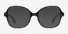 Arolla Tortoise PlasticEyeglass Frames from EyeBuyDirect, with Tinted Lenses